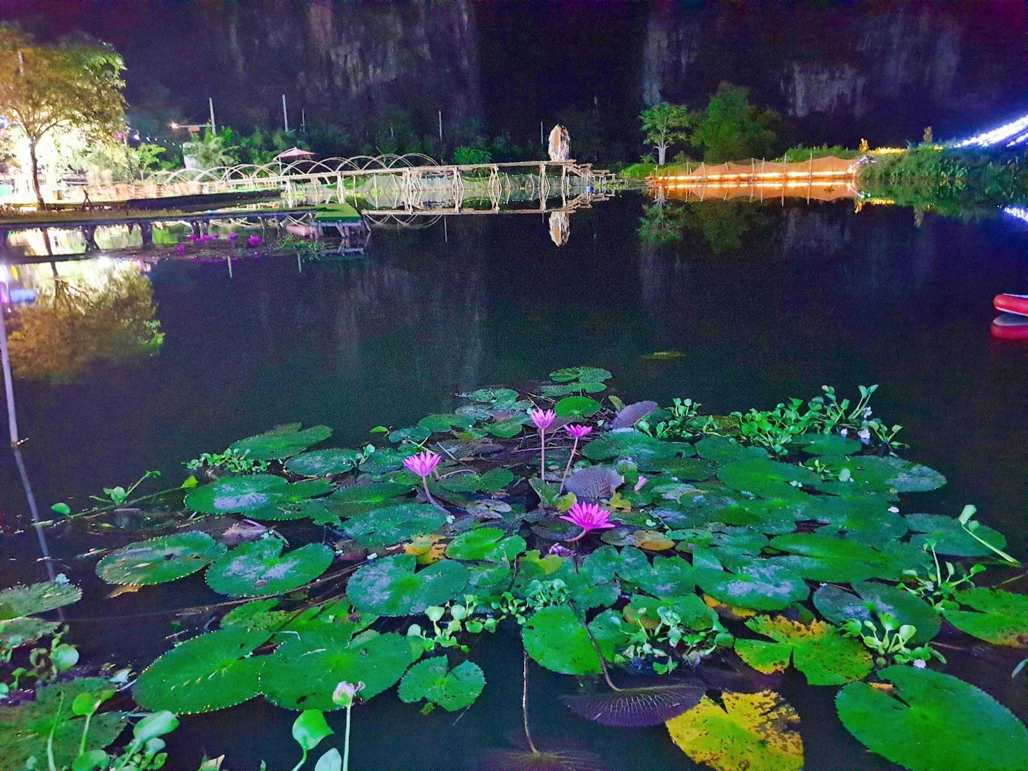 Quoc Khanh Bamboo Homestay Ninh Binh Buitenkant foto