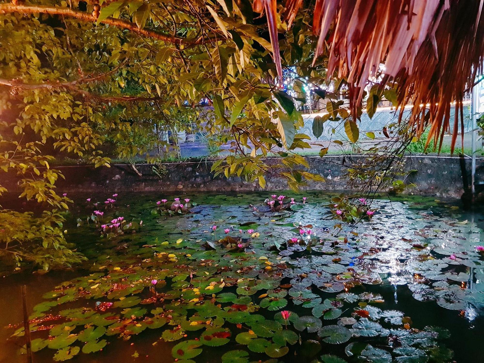 Quoc Khanh Bamboo Homestay Ninh Binh Buitenkant foto