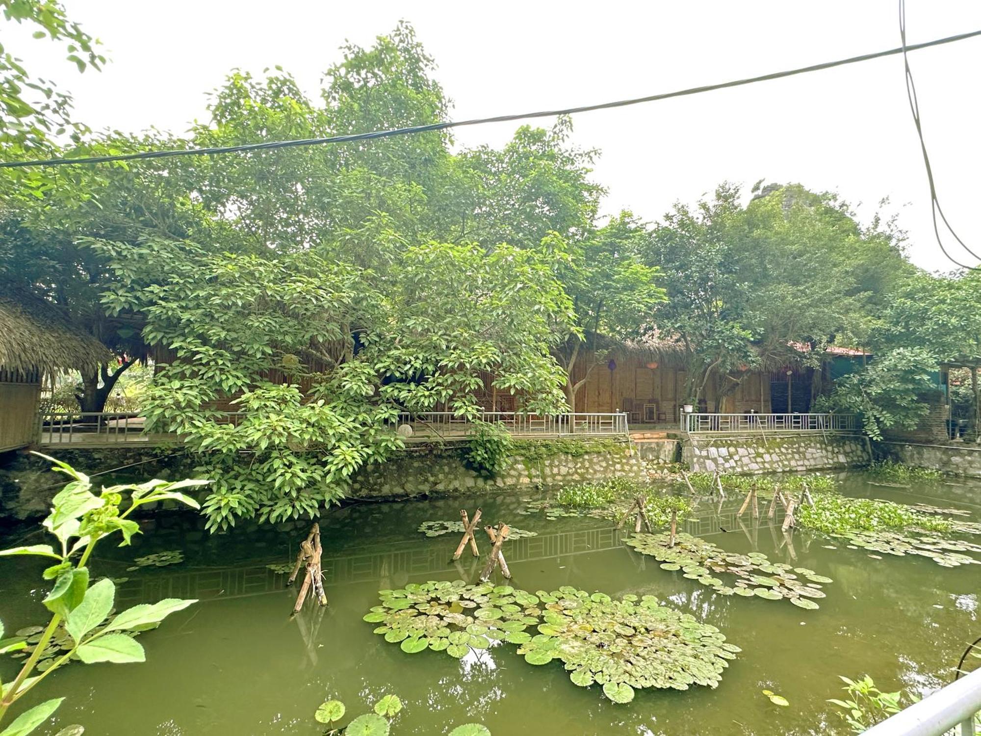Quoc Khanh Bamboo Homestay Ninh Binh Buitenkant foto
